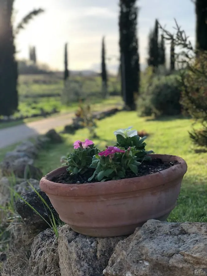 Agriturismo Fonteleccino Chianciano Terme Farm stay