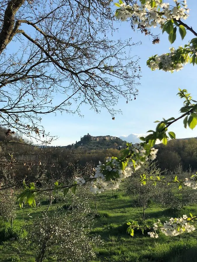 Agriturismo Fonteleccino Chianciano Terme