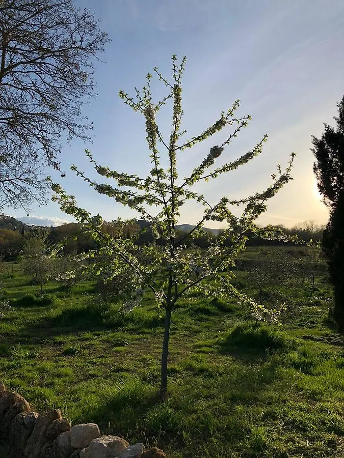 Agriturismo Fonteleccino Chianciano Terme 0*,  Olaszország